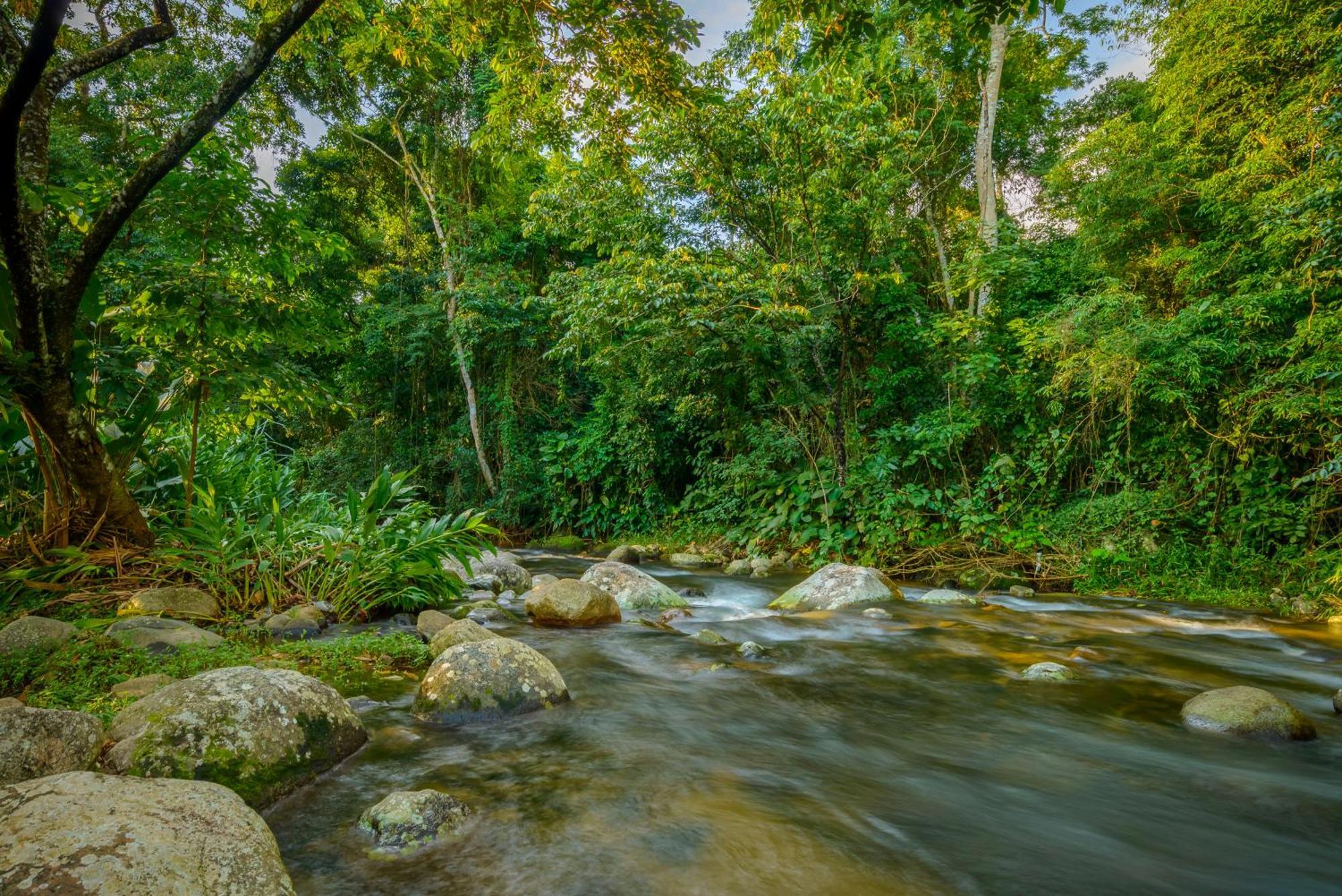 Velinn Pousada Bromelias Ильябела Экстерьер фото